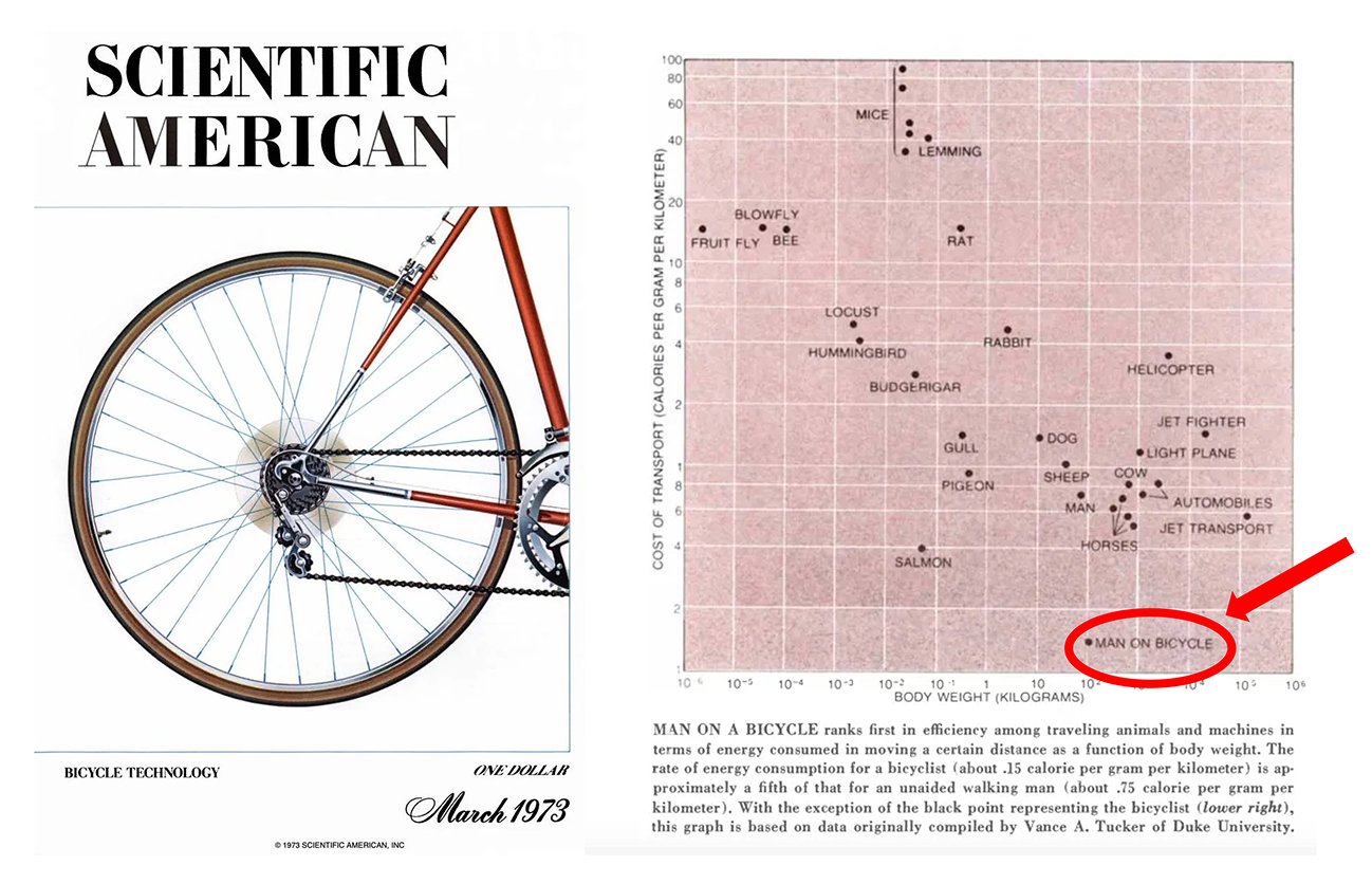 A 1970s Scientific American study on locomotion efficiency inspired Steve Jobs's famous 'bicycle for the mind' metaphor.